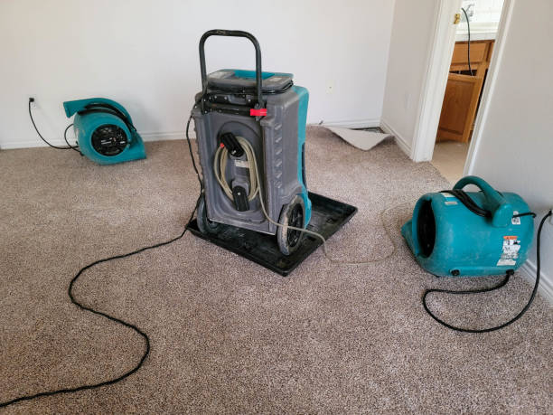 Best Flooded house restoration  in Sanford, CO