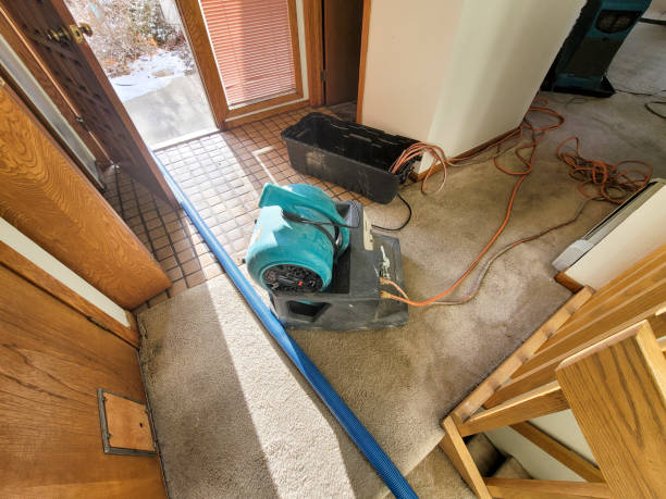 Best Water damage contractors near me  in Sanford, CO